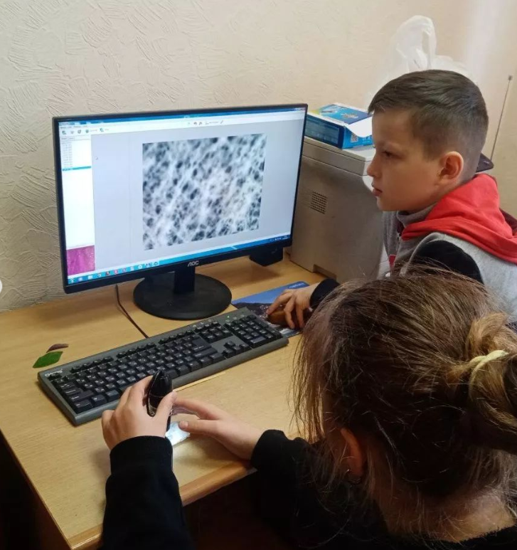 Захватывающие исследования и открытия детей